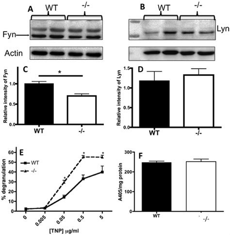 Nr4a3 modulates signaling pathways involved in mast cell degranulation ... 