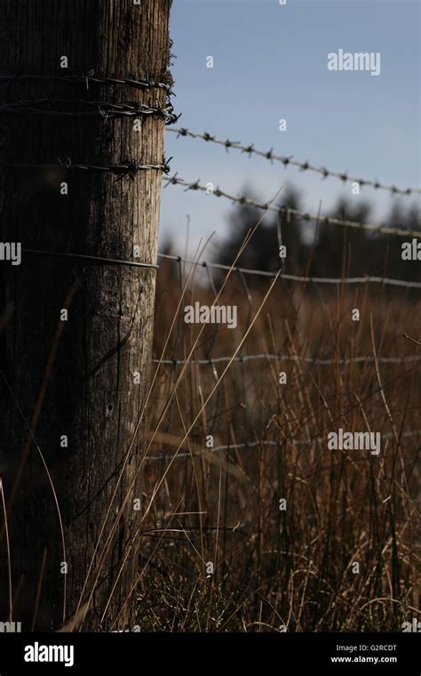 Field Post And Barbed Wire Fence Stock Photo Alamy