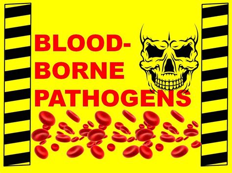 Bloodborne Pathogens - Workplace Dangers and Disease Prevention ...