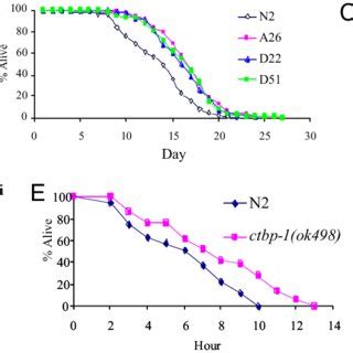 Ctbp Regulates Life Span In C Elegans A A Schematic Presentation