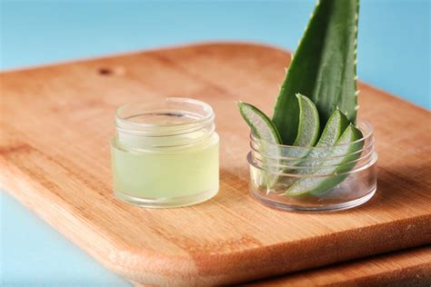 How To Store Aloe Vera Gel For Long Time Without Refrigeration Storables