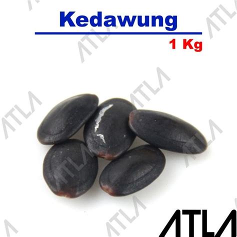 Jual Free Ongkir Benih Pohon Kedawung Kg Biji Buah Dawung Bibit