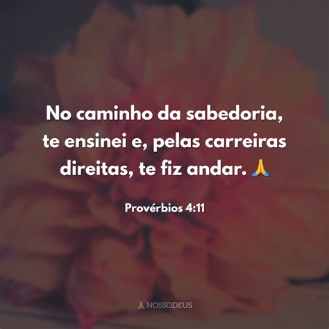 50 Frases Bíblicas De Sabedoria Para Viver Com Primor Os Projetos De Deus