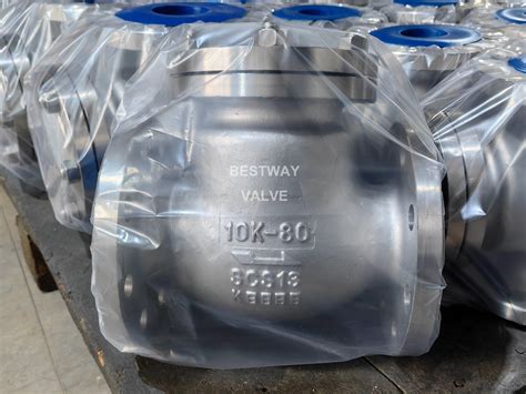 JIS 10K Scs13 304 Flanged Swing Stainlss Steel Check Valve China