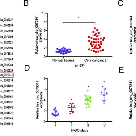 The Expression Levels Of Hsa Circ In Cervical Cancer A