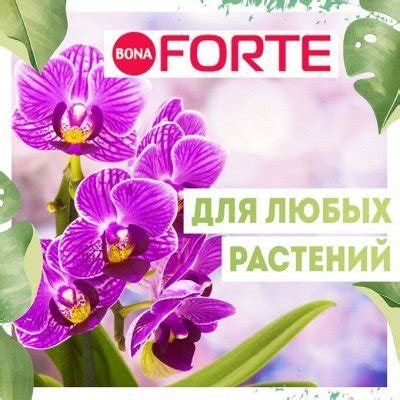 Любителям сада и цветов. Инструменты и садовый инвентарь для сада и ...