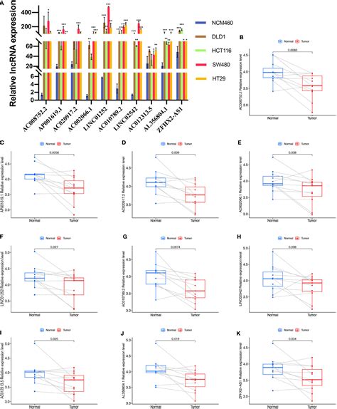 Frontiers Construction And Validation Of A Cuproptosis Related Lncrna