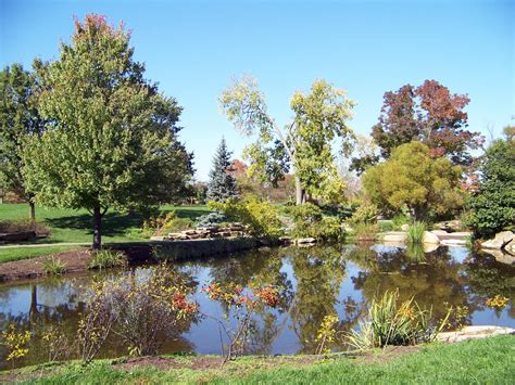 pond   park  stock photo public domain pictures