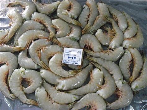 Headless White Shrimps Prawns At Best Price In Chennai By K V Marine