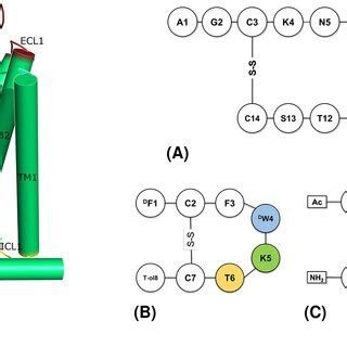 Left panel: Schematic representation of GPCR structure and main ...