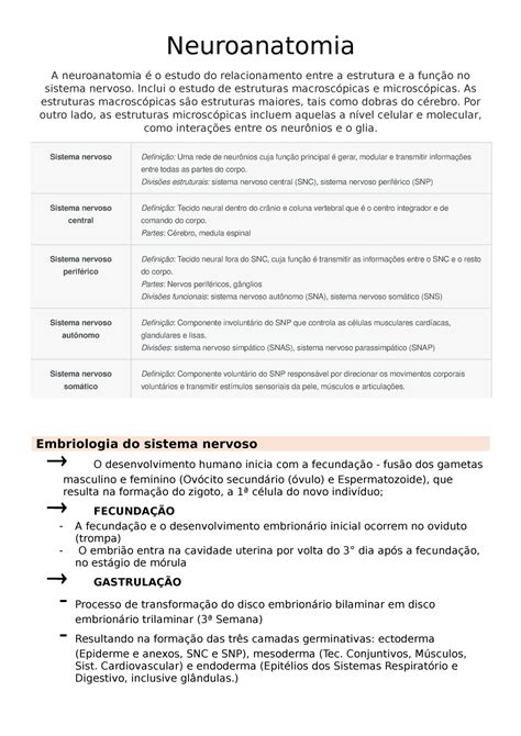 Neuroanatomia Resumo Simples Neuroanatomia A Neuroanatomia é O