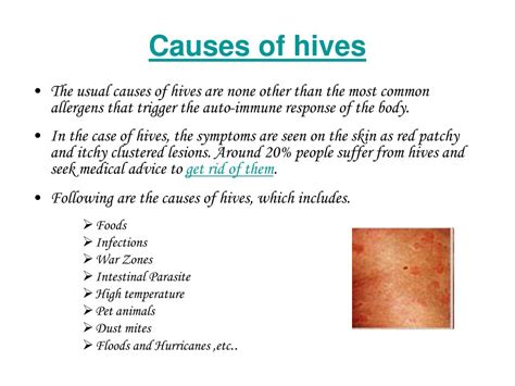 Hives Rash Causes