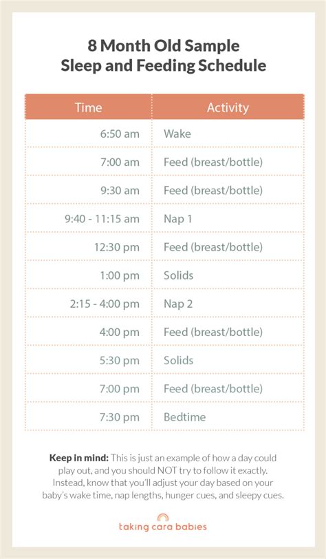 8 month old sleep schedule – Artofit