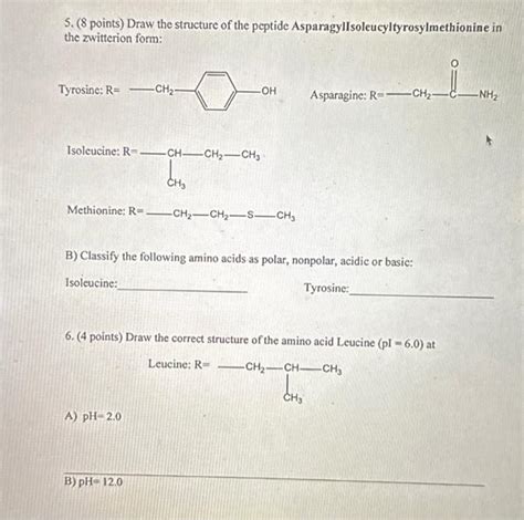 Solved 5. (8 points) Draw the structure of the peptide | Chegg.com
