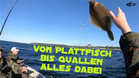 Plattfisch Angeln Auf Der Ostsee Von Quallen Gejagt Und Von