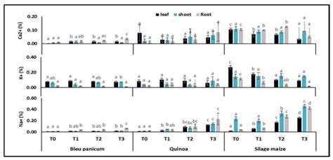 Environmental Sciences Proceedings Free Full Text The Effect Of