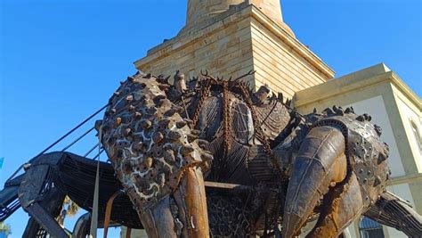 Cangrejos En El Litoral Llega A La Plaza Del Faro A La Espera De Su