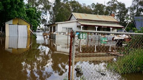 Calls For Permanent Echuca Flood Levee Abc Listen