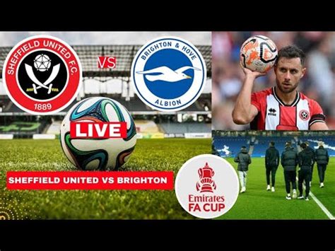 Fifa Brighton Vs Sheffield United Fa Cup Match Facup Fifa