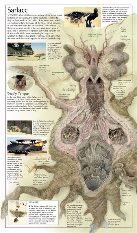 Imagen Sarlacc2 Star Wars Wiki Fandom Powered By Wikia