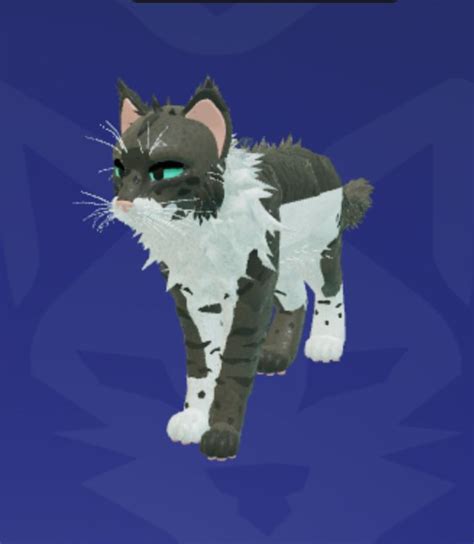 No Gamepasses Just Cat Warrior Cat Drawings Warrior Cats Warrior