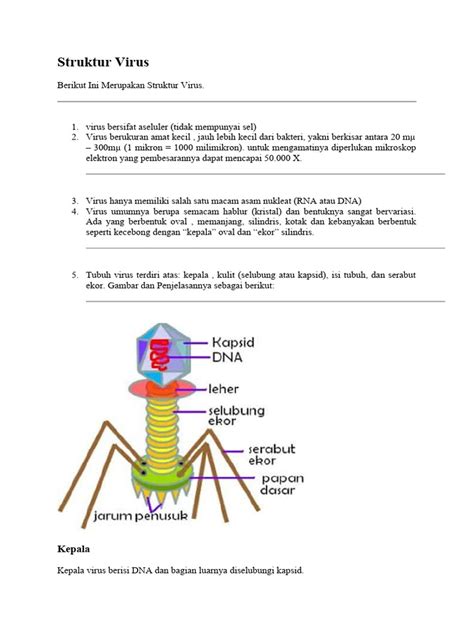 struktur virus