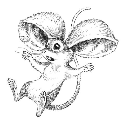 A Drawing Of A Mouse Flying Through The Air