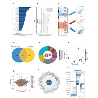 Construction And Validation Of Sm Related Prognostic Model A Gsva