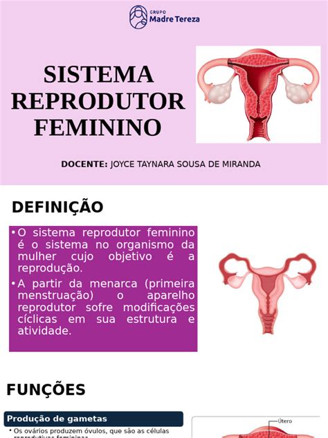 Sistema Reprodutor Feminino | PDF | Sistema reprodutivo | Menstruação