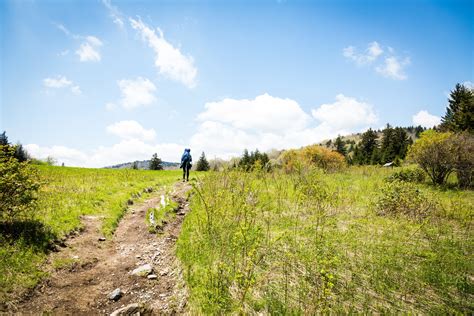 Grayson Highlands State Park To Mount Rogers Outdoor Project