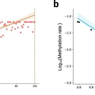 Pdf Dna Methylation Rates Scale With Maximum Lifespan Across Mammals