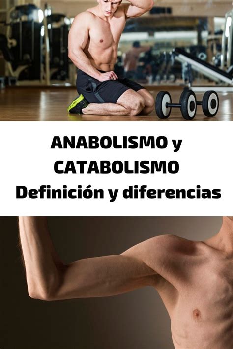 ANABOLISMO y CATABOLISMO Definición y diferencias INFOGRAFÍA