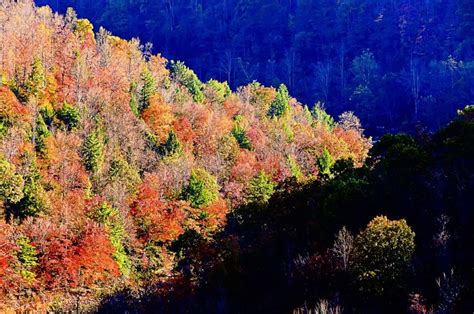 Fall Color of West Virginia | Shutterbug