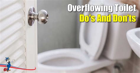 How To Prevent Toilet Overflow - Behalfessay9