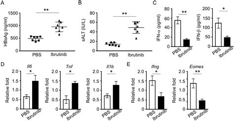 Il2 Inducible T Cell Kinase Is Required For Hbv Induced Type T Interferon Expression And