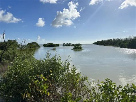 10 Best Hikes and Trails in Everglades National Park | AllTrails