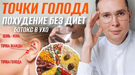 Как располагаются на ушах активные точки, отвечающие за органы ...