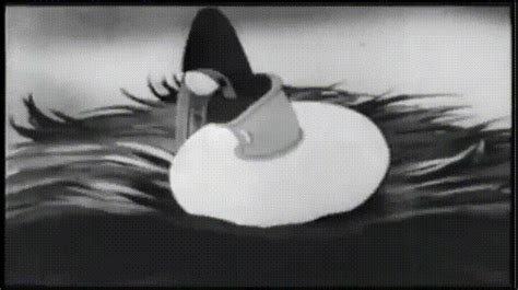 Daffy Duck  On Imgur