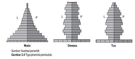 Bentuk Piramida Penduduk Indonesia Studyhelp