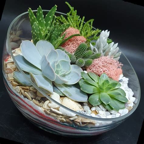 Флорариум КОКЕТКА (21см) купить в подарок в Москве, низкие цены в ...