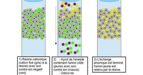 Chromatographie Dechange Dions Ionique Dr Laoufi Cours De La