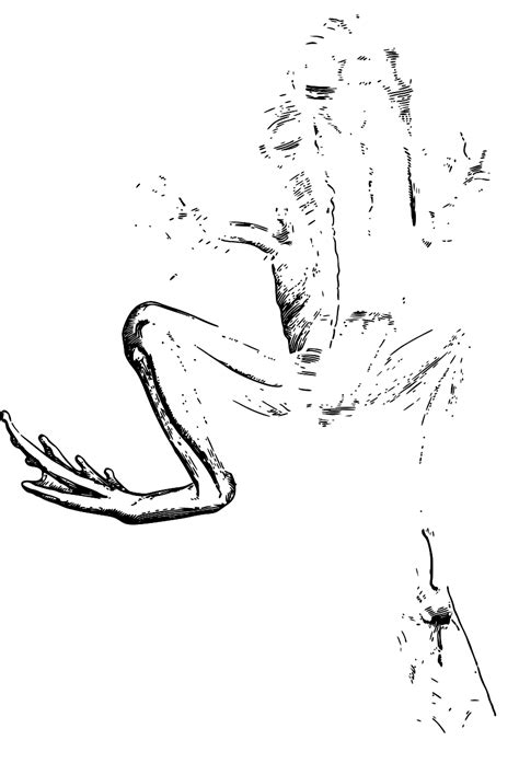 svg svg svg silh