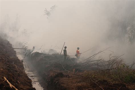 Photos Inside The Toxic Haze A “crime Against Humanity” Caused By Indonesia’s Fires — Quartz