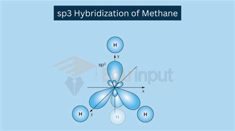 Hybridization, definition, types and significance