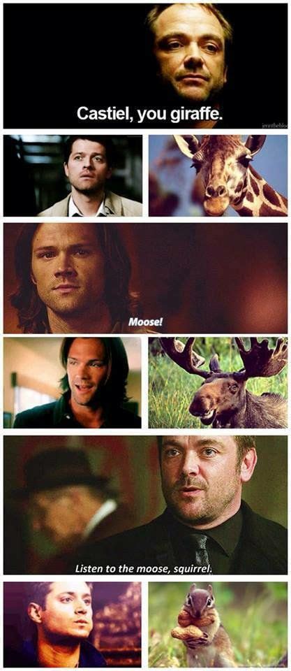 Sam Winchester Winchester Brothers Winchester Supernatural Sam Dean