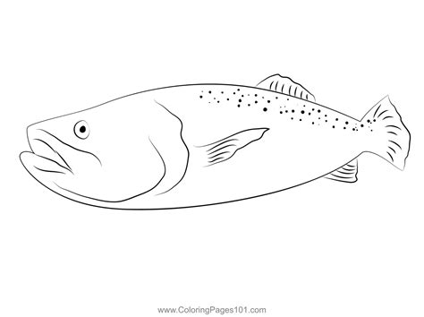 Trout Fishing Coloring Pages