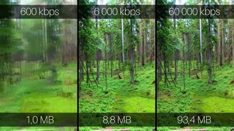 The Art of Compression: Does Reducing Video Size Affect Quality? - VCSD