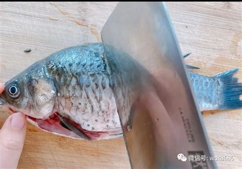 2个技巧教你鲫鱼豆腐汤的做法，汤色奶白无腥味，味道鲜美又补钙 知乎