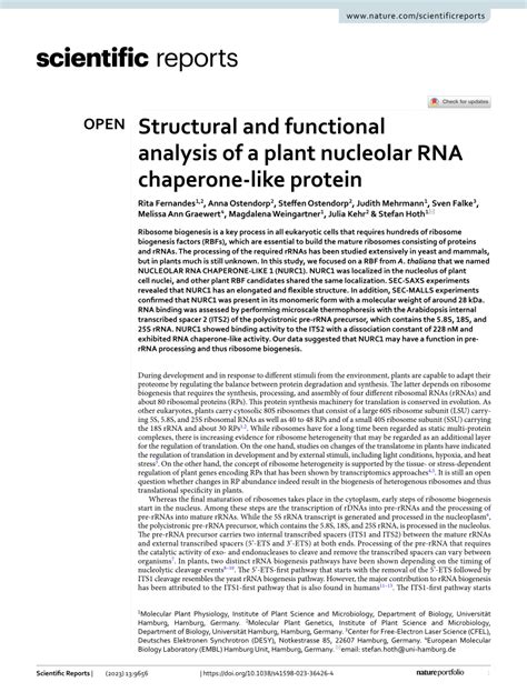 Pdf Structural And Functional Analysis Of A Plant Nucleolar Rna