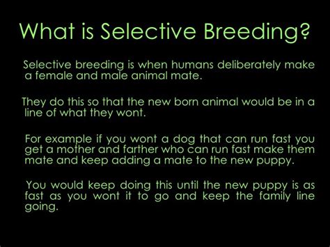 Selective Breeding